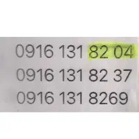 09161318204