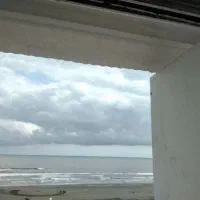 استخدام
