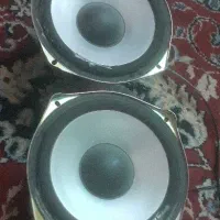 باند    خاص  پژو .. و..ت و دری