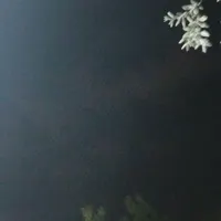 استخدام پرسنل تالار
