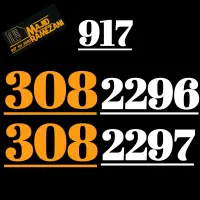 917.306.1941