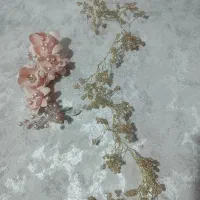 تاج