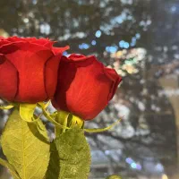 تیک ابی اینستاگرام تکی و عمده