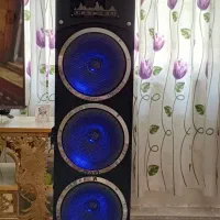 باند دنایی