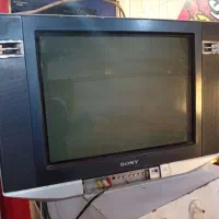 تلوزیون ۳۱سونی