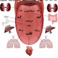 مشاور طب سنتی با ما درمان ریشه ای شو