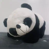 ۶عدد عروسک هر عدد ۳۰۰هزارتومان