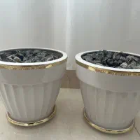گلدان