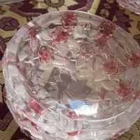 ظروف پذیرایی ناتاشا