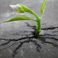 استخدام کارشناس و بازاریاب فروش با همه مزایای شغلی