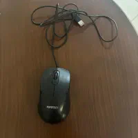 موسی کابلی USB سالم