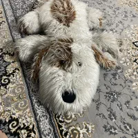 عروسک|اسباب‌بازی بچه|مشهد, زمرد|دیوار
