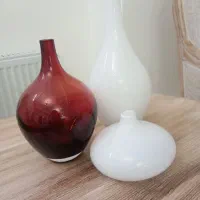 سالونک