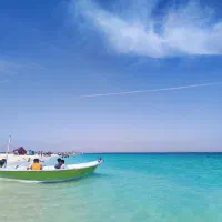 خط دائمی رند