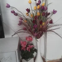 گل وگلدون