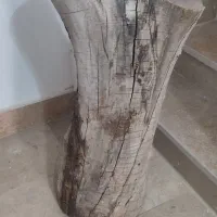 تنه درخت چوب‌ درخت کنده هیزوم قفل کتابی