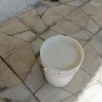 شیر محلی گوسفندی
