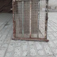درلانه کفتر