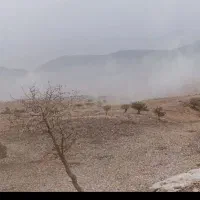 زمین-در-مهران