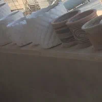 گلدان|گل و گیاه طبیعی|بوشهر, |دیوار