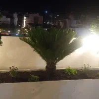 باغبانی و هرس درختان کاشت گل و گیاه از تولیدی