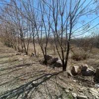 ۵۰۰ متر باغ لوکیشن بی نظیر