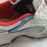 ۲عدد کفش|کیف، کفش، کمربند|بجنورد, |دیوار