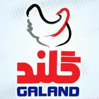 جذب نیروی کار کشتارگاه طیور گلند