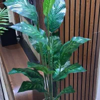 پخش کننده درختچه های مصنوعی خارجی بدون واسطه