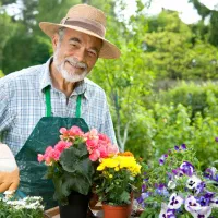 خدمات VIP فضای سبز طراحی و اجرای باغچههای لوکس