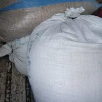 گندم