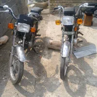 دوتاامیکو۷۰ سالم