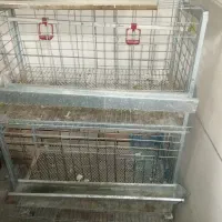 قفس مرغ و خروس