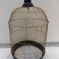 فقس طوطی و عروس هلندی قفس گرد