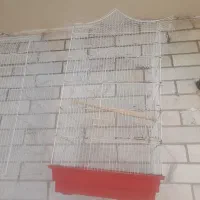 یک عددقفس کاسکویی