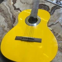 گیتار حرفه ای مولیان