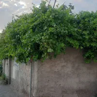 منزل-فروشی