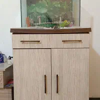 آکواریوم جاکفشی گنجه