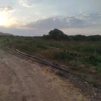 باغ روستای صفی آباد