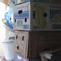 کارتون موز برای اسباب کشی