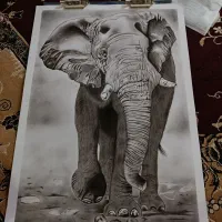 تابلو سیاه قلم