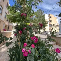 46متر-سند-تک-برگ-بهترین-مجتمع