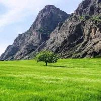 بلیط / تور / زیارتی / کنسلی