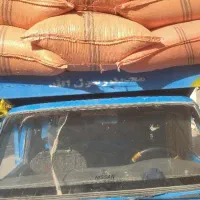 گندم دیم