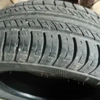 لاستیک ساینا 14.