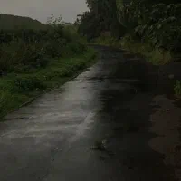 فروش-ویلایی-250متری-جنوبی-امام-رضا31چهارراه-دوم