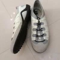 کفش اکو اصل