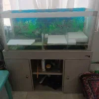 آکواریوم با میز و تجهیزات .