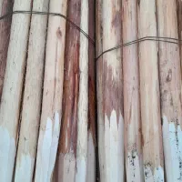 تولید کننده