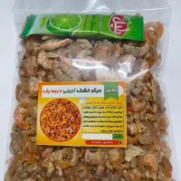 میگو آجیلی سواحل بوشهر